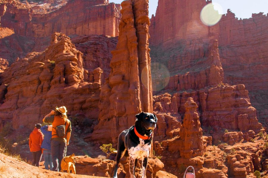 National Parks Tour One Days Start and end in Las Vegas!